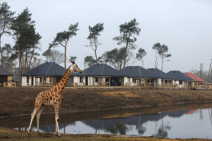 vakantiepark beekse bergen