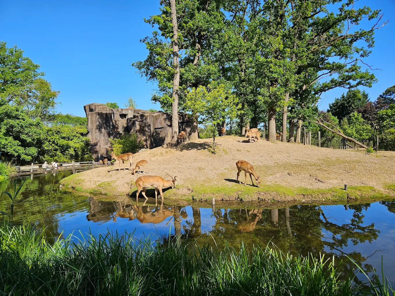 afbeelding_2025-07-28_133233541