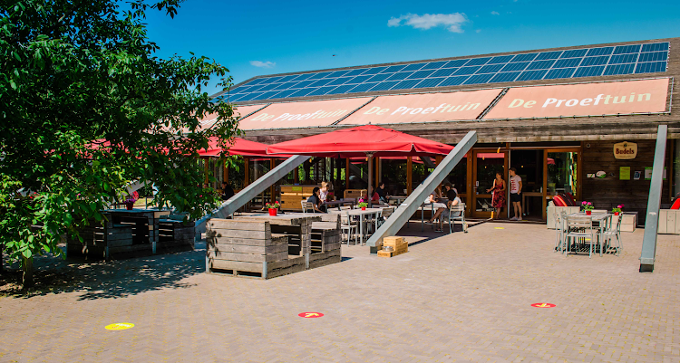 afbeelding_2025-07-31_233858568