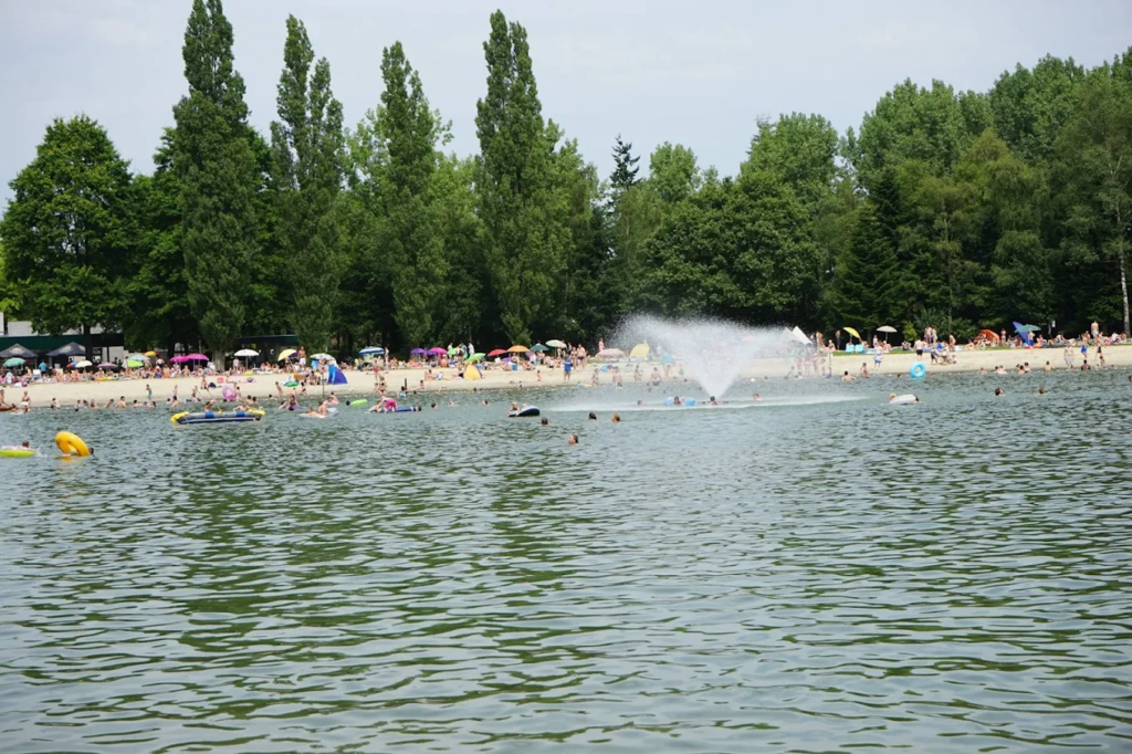 witven veldhoven