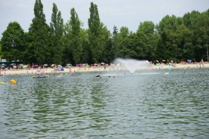 witven veldhoven