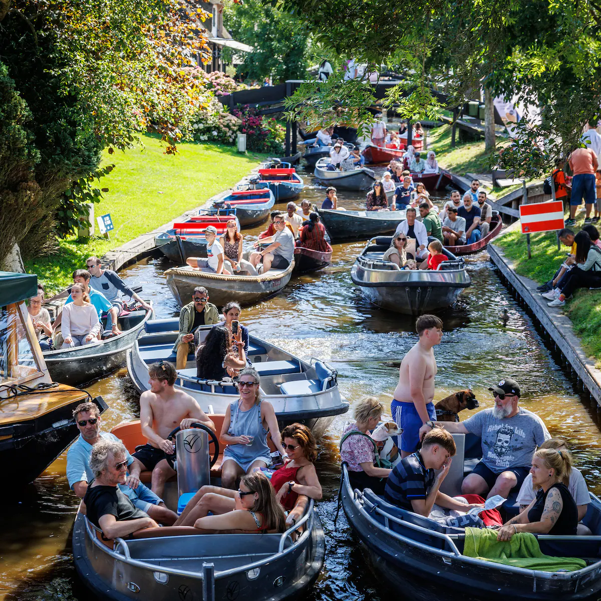afbeelding_2025-07-31_154921734