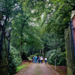 Stadsbos Eindhoven Wielewaal, Lichtbos, Brabants dagblad