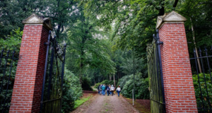 Stadsbos Eindhoven Wielewaal, Lichtbos, Brabants dagblad