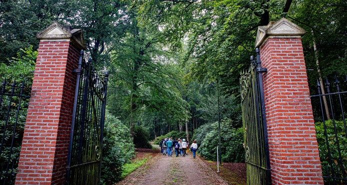Stadsbos Eindhoven Wielewaal, Lichtbos, Brabants dagblad