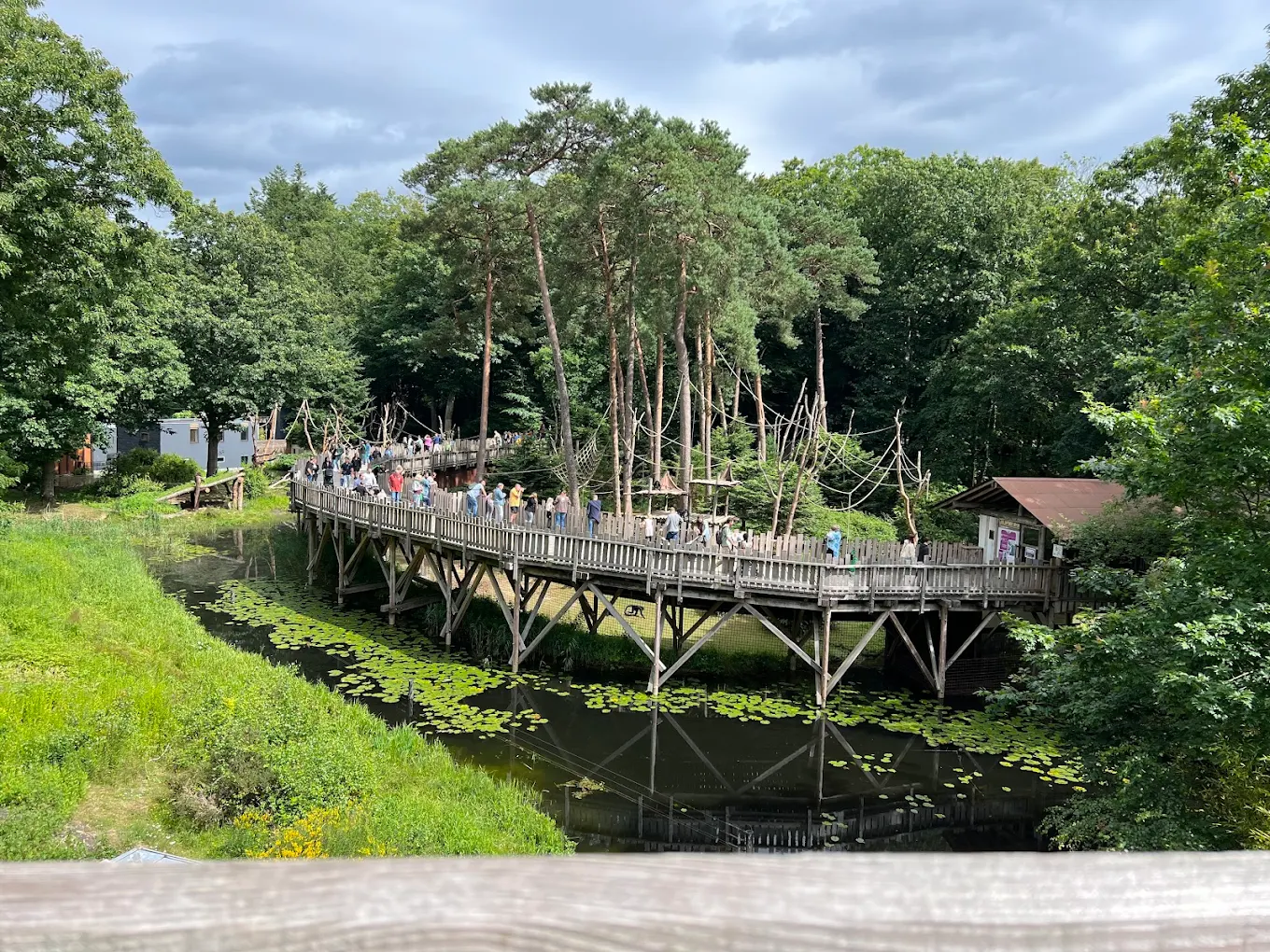 afbeelding_2025-08-03_120335218