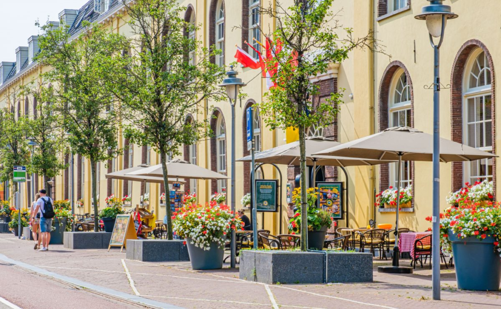 afbeelding_2025-08-04_170444154
