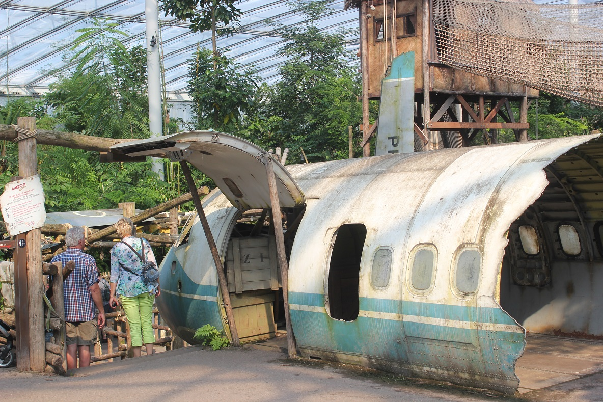 afbeelding_2025-08-24_204358415