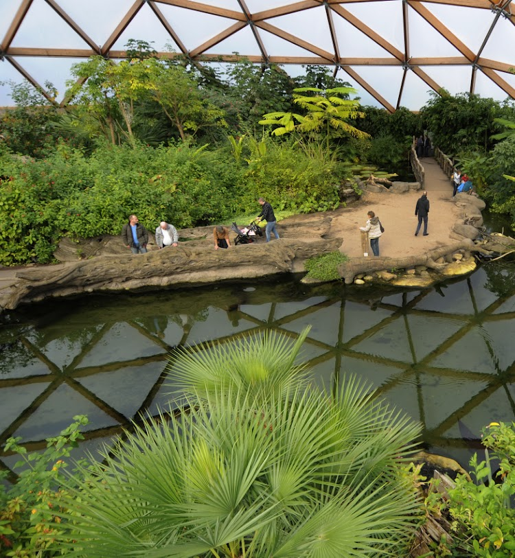 diergaarde blijdorp jungle