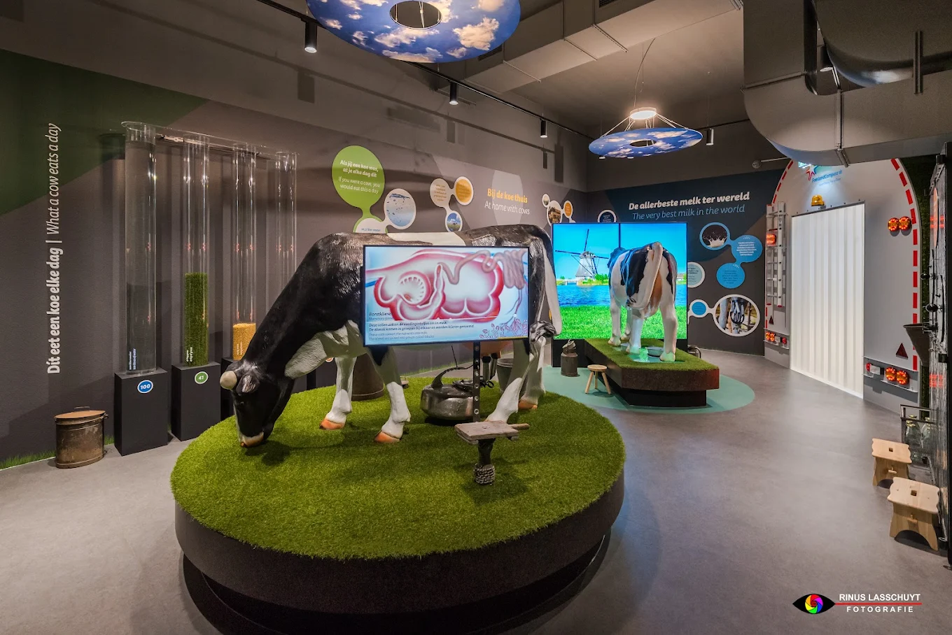 Gouda Cheese Experience