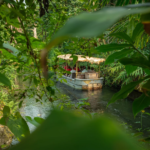 wildlandsadventure zoo